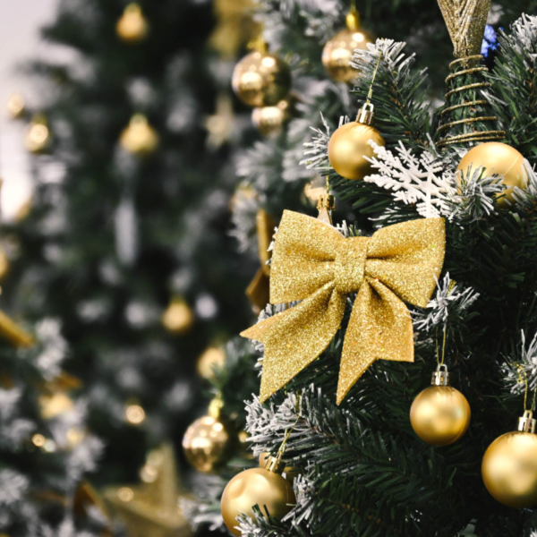 Private Residence Christmas Tree Theme Living Room