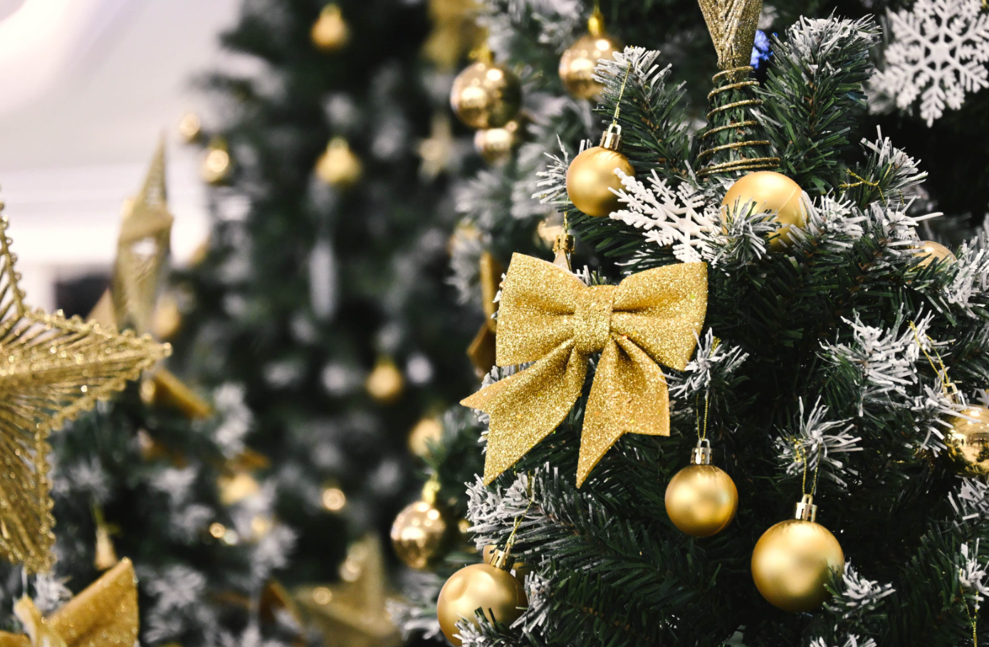 Private Residence Christmas Tree Theme Living Room